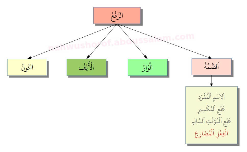 014. Tanda Rafa’ Dammah pada Fi’il Mudhari’