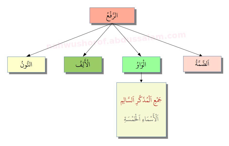 015. Tanda Rafa’ Wawu pada Jama’ Mudzakkar Salim