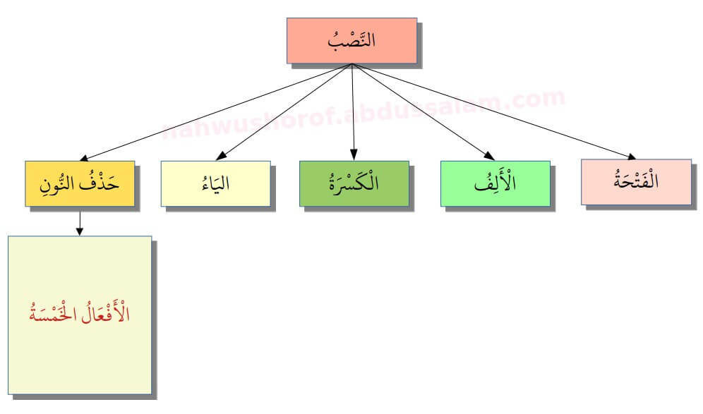 027. Tanda Nashab Membuang Nun pada Al-Af’al Al-Khamsah