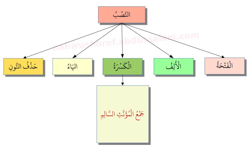 024. Tanda Nashab Kasrah pada Jama’ Muannats Salim