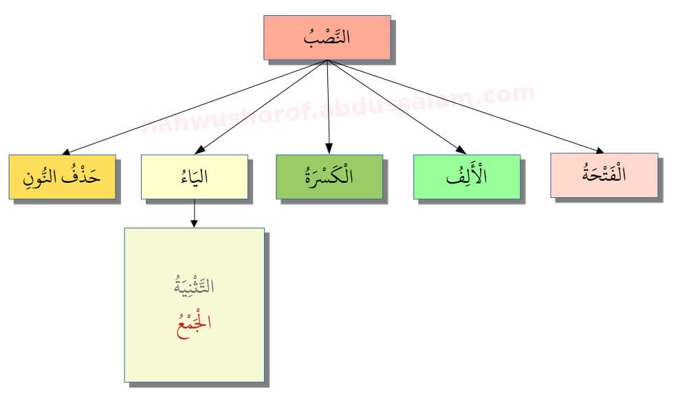 026. Tanda Nashab Ya’ pada Jama’ Mudzakkar Salim